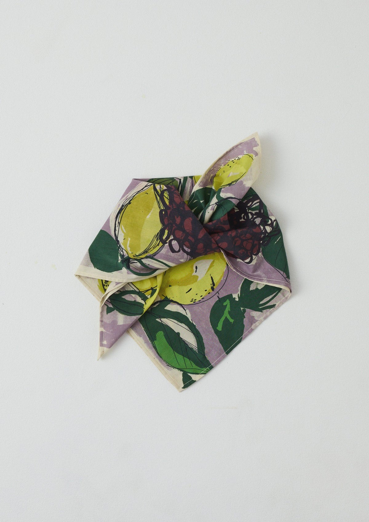 Sketched Fruit Cotton Silk Bandana | Thistle
