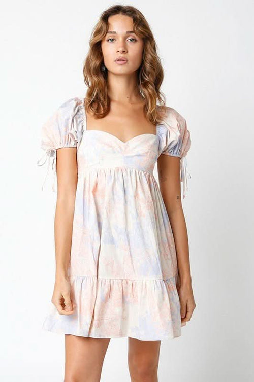 Jessie Blush and Blue Floral Babydoll Mini Dress